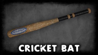 PayDay 2's baseball bat